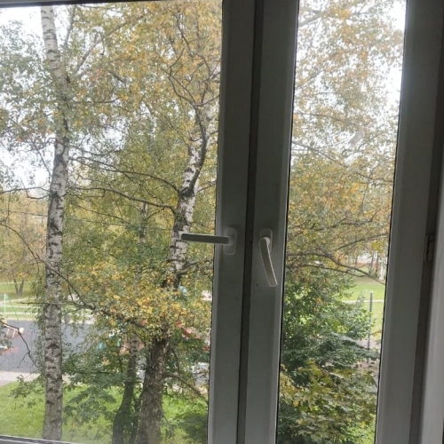 photo 2025-09-29 17.09.