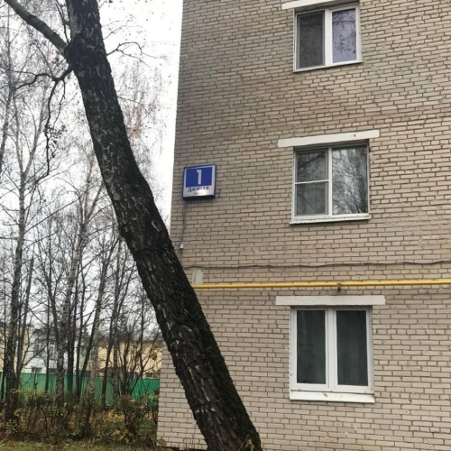 photo 2025-11-07 15.55.