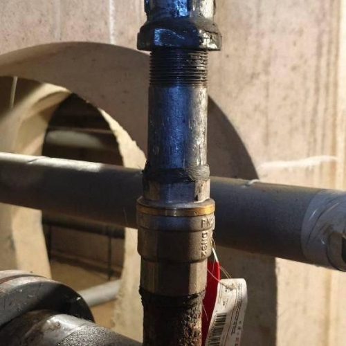 photo 2025-11-07 15.58.