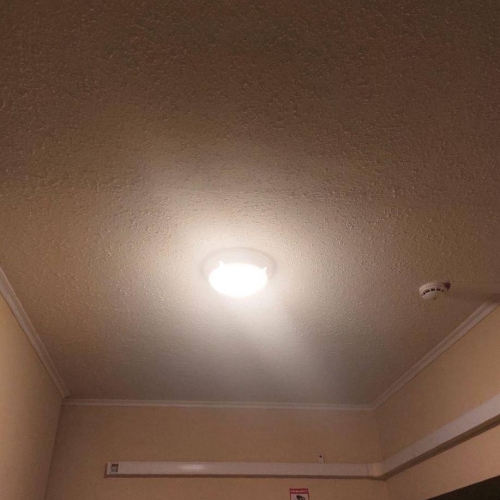 photo 2025-12-31 12.34.