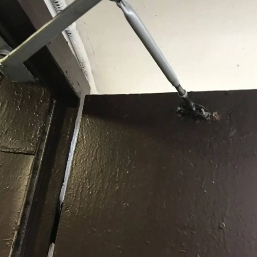 photo 2026-01-16 16.12.