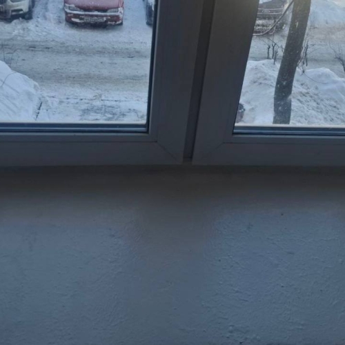 photo 2026-02-19 18.37.