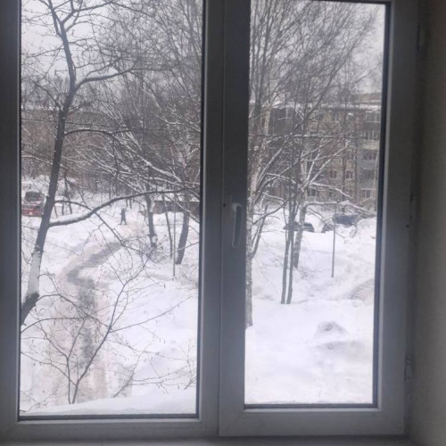 photo 2026-03-13 15.52.