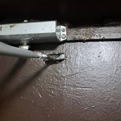 photo 2026-03-13 15.52.