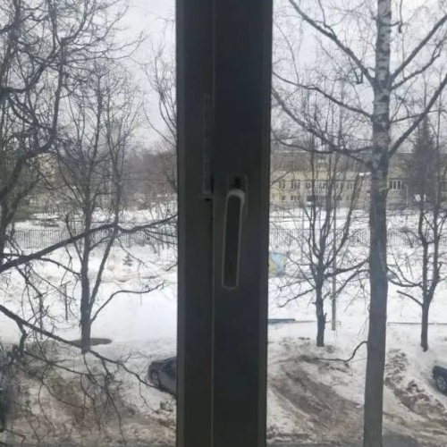 photo 2026-03-13 15.52.