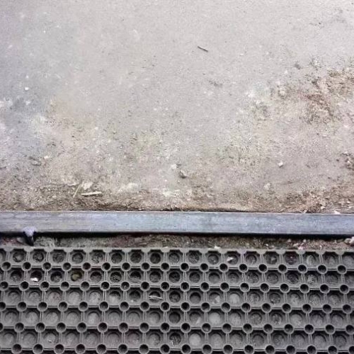 photo 2026-03-27 13.07.